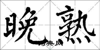 翁闓運晚熟楷書怎么寫