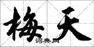 胡問遂梅天行書怎么寫