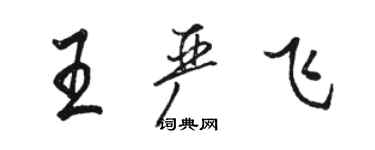 駱恆光王嚴飛行書個性簽名怎么寫