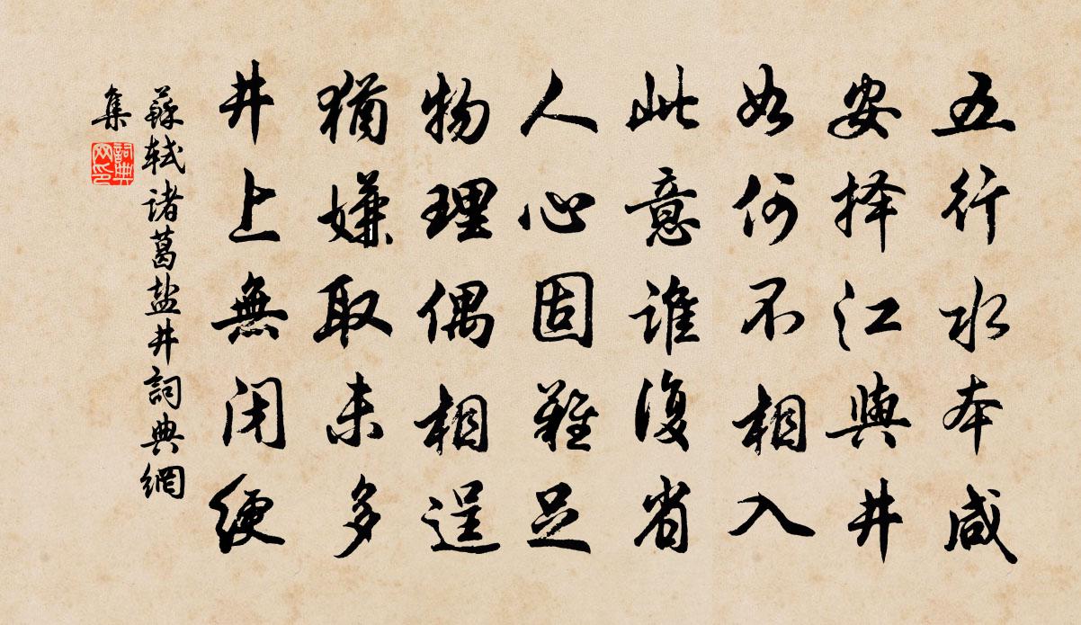 蘇軾諸葛鹽井書法作品欣賞