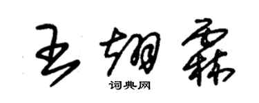 朱錫榮王翊霖草書個性簽名怎么寫