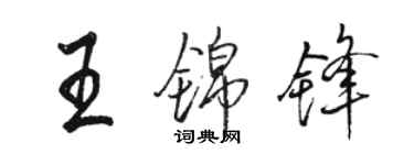 駱恆光王錦鋒行書個性簽名怎么寫