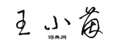 駱恆光王小茵草書個性簽名怎么寫