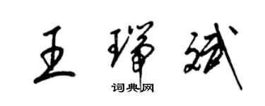 梁錦英王瑞斌草書個性簽名怎么寫