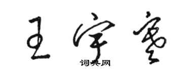 駱恆光王宇寒草書個性簽名怎么寫