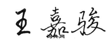 駱恆光王嘉駿行書個性簽名怎么寫