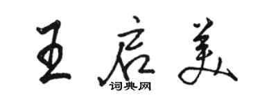 駱恆光王啟美行書個性簽名怎么寫