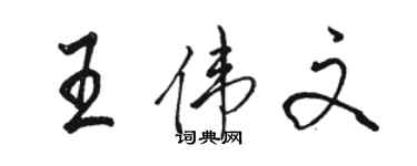 駱恆光王偉文行書個性簽名怎么寫