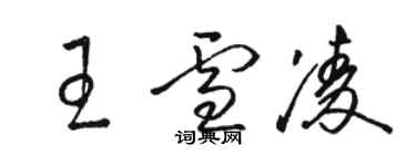 駱恆光王雪凌草書個性簽名怎么寫