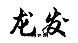 胡問遂龍發行書個性簽名怎么寫