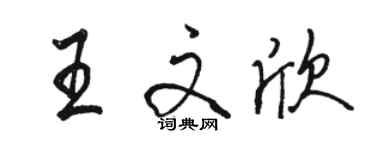 駱恆光王文欣行書個性簽名怎么寫