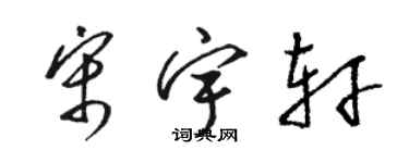 駱恆光宋宇軒草書個性簽名怎么寫