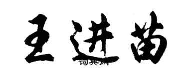 胡問遂王進苗行書個性簽名怎么寫