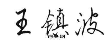 駱恆光王鎮波行書個性簽名怎么寫