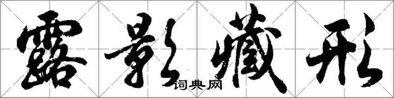 胡問遂露影藏形行書怎么寫