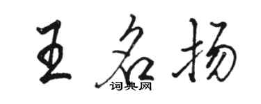 駱恆光王名揚行書個性簽名怎么寫