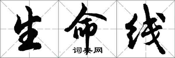 胡問遂生命線行書怎么寫