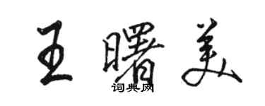 駱恆光王曙美行書個性簽名怎么寫