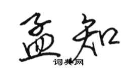 駱恆光孟知行書個性簽名怎么寫