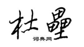 王正良杜壘行書個性簽名怎么寫