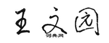 駱恆光王文園行書個性簽名怎么寫