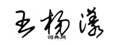 朱錫榮王楊漾草書個性簽名怎么寫