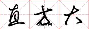 朱錫榮直方大草書怎么寫
