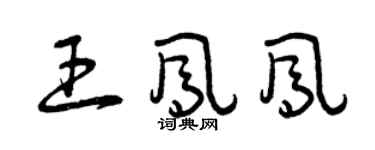 曾慶福王鳳鳳草書個性簽名怎么寫