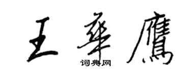 王正良王華鷹行書個性簽名怎么寫