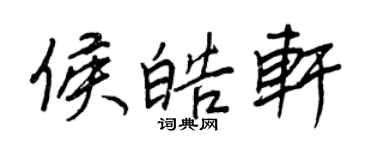 王正良侯皓軒行書個性簽名怎么寫