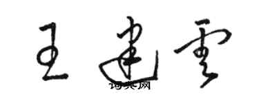 駱恆光王建雲草書個性簽名怎么寫