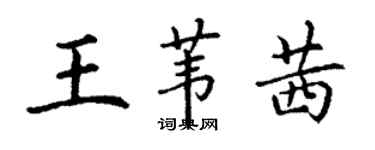 丁謙王葦茜楷書個性簽名怎么寫