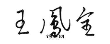 駱恆光王鳳全草書個性簽名怎么寫