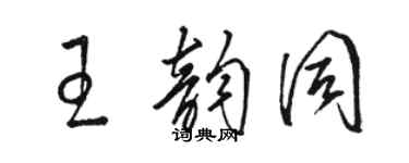 駱恆光王韻同草書個性簽名怎么寫