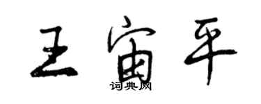 曾慶福王宙平行書個性簽名怎么寫