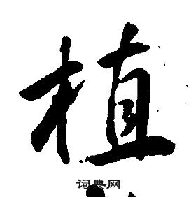 康熙千字文中植的寫法