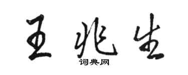 駱恆光王兆生行書個性簽名怎么寫