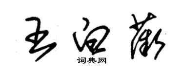 朱錫榮王白薇草書個性簽名怎么寫