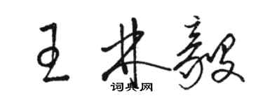 駱恆光王林毅草書個性簽名怎么寫