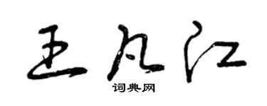 曾慶福王凡江草書個性簽名怎么寫