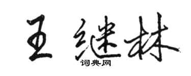 駱恆光王繼林行書個性簽名怎么寫