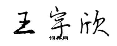 曾慶福王宇欣行書個性簽名怎么寫