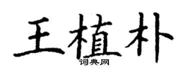 丁謙王植朴楷書個性簽名怎么寫