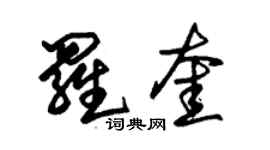 朱錫榮羅奎草書個性簽名怎么寫