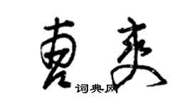 曾慶福曹爽草書個性簽名怎么寫