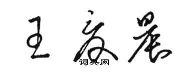 駱恆光王夏晨草書個性簽名怎么寫