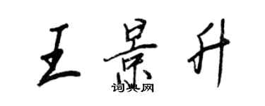 王正良王景升行書個性簽名怎么寫