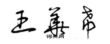 曾慶福王華希草書個性簽名怎么寫