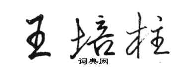 駱恆光王培柱行書個性簽名怎么寫