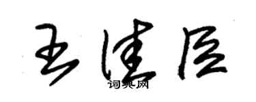 朱錫榮王佳臣草書個性簽名怎么寫